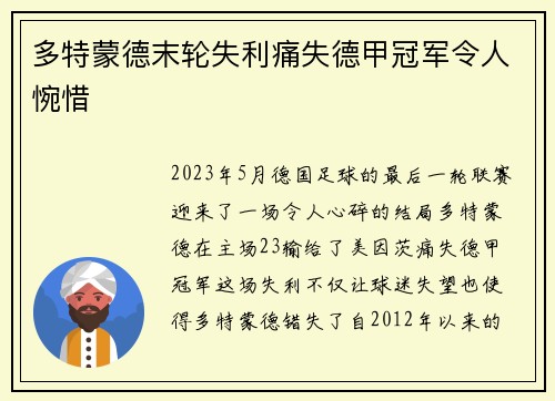 多特蒙德末轮失利痛失德甲冠军令人惋惜